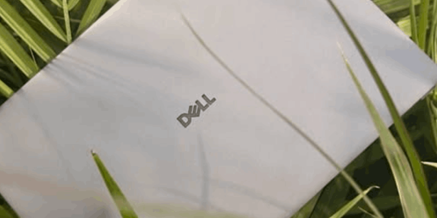 dell_horizontal